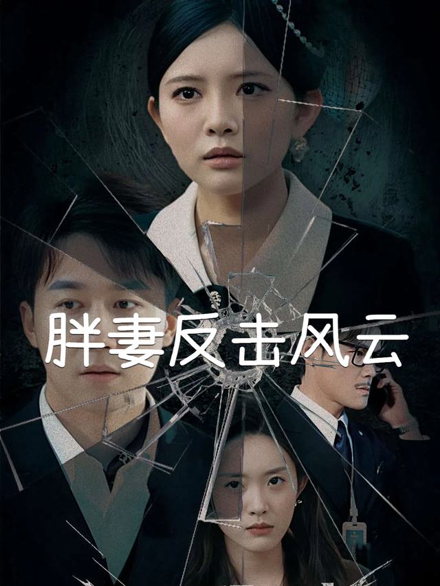 胖妻反击风云封面