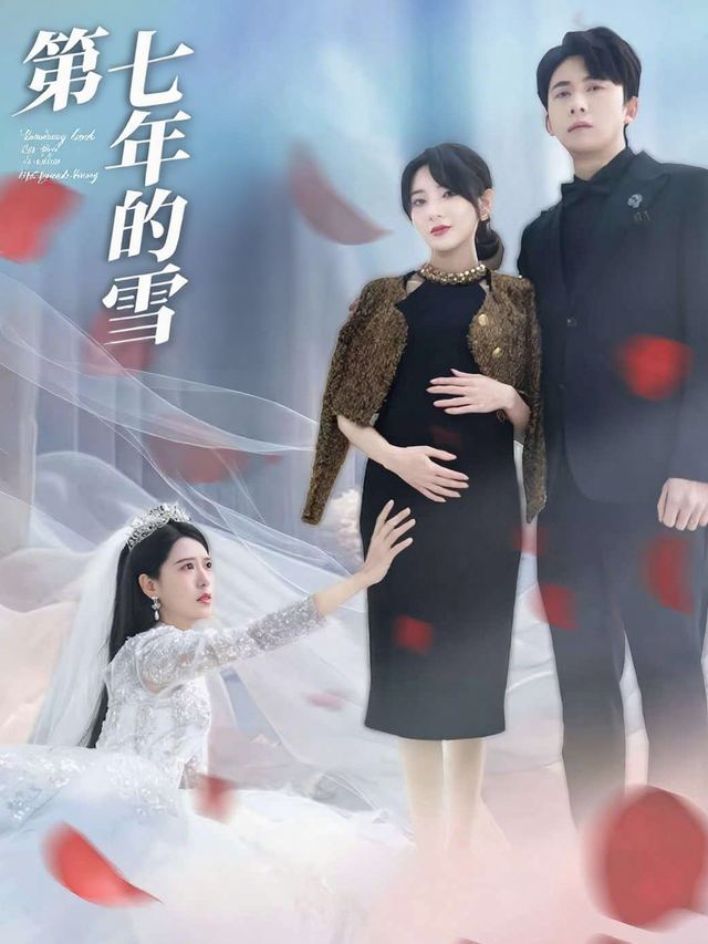 第七年的雪封面