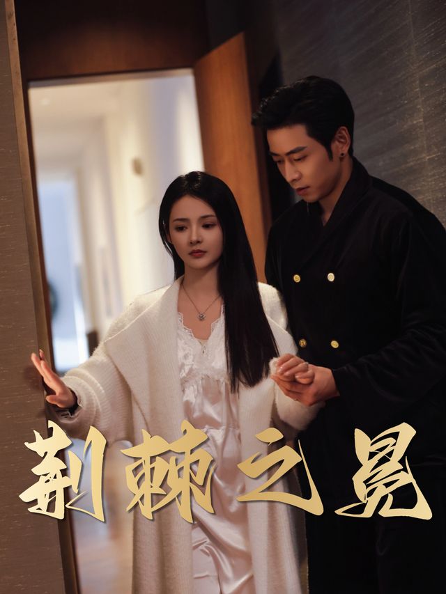 荆棘之冕封面