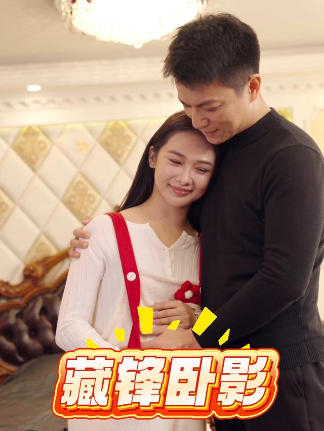 藏锋卧影封面
