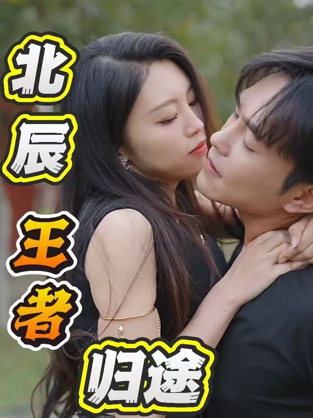 北辰王者归途封面