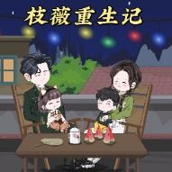 枝薇重生记封面