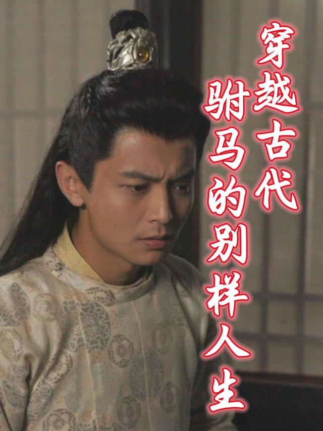 穿越古代:驸马的别样人生封面