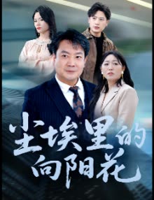 尘埃里的向阳花封面