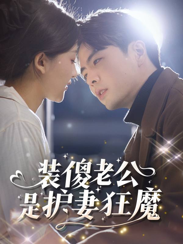 装傻老公是护妻狂魔封面