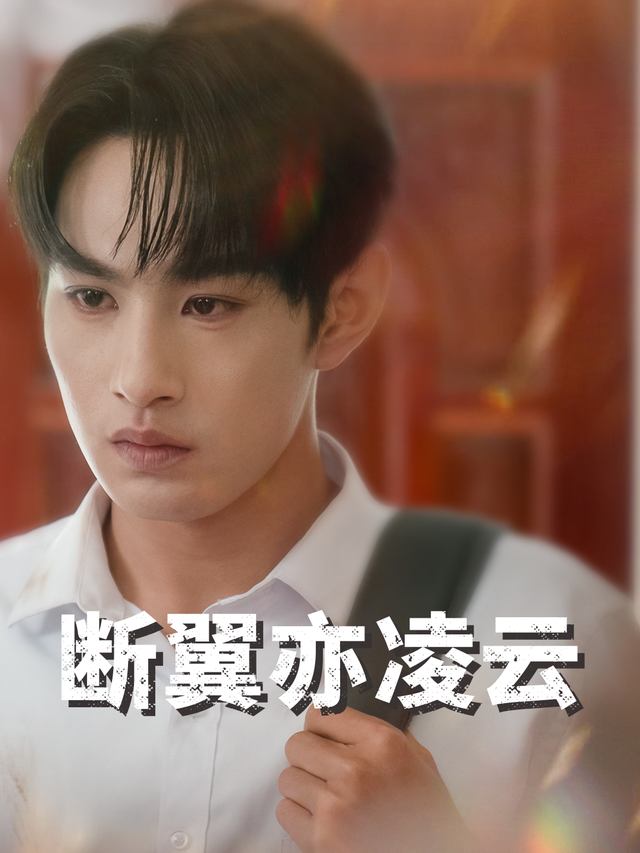 断翼亦凌云封面