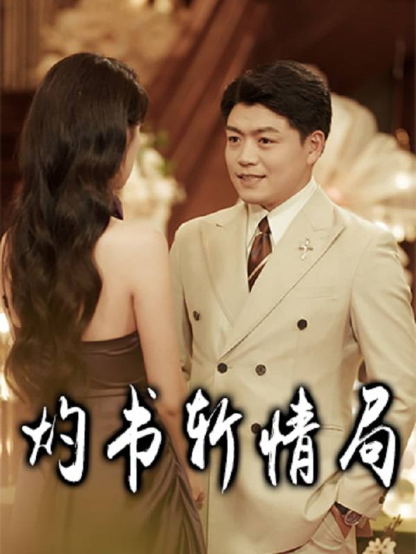 灼书斩情局封面