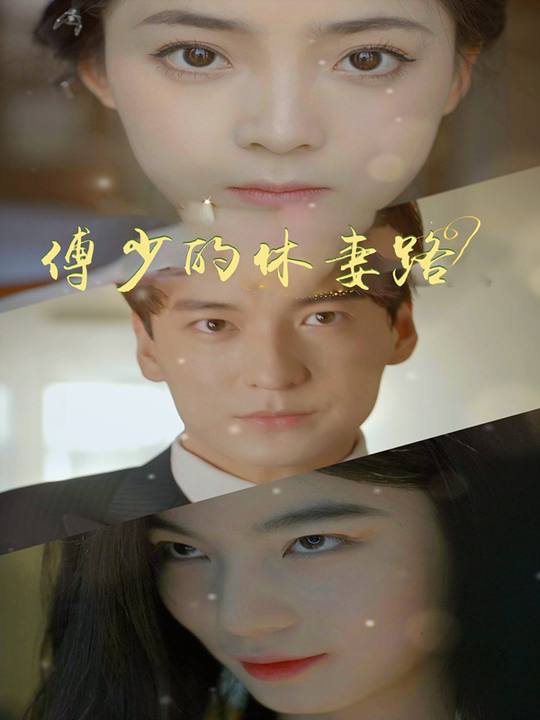傅少的休妻路封面