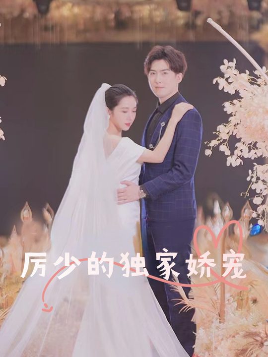 厉少的独家娇宠封面