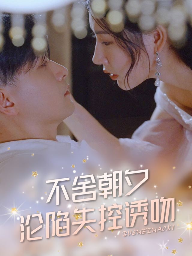 不舍朝夕封面