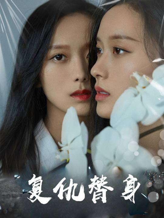复仇替身封面
