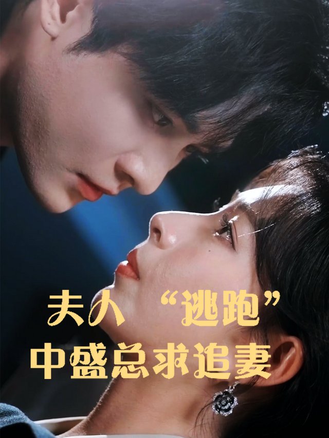 夫人 “逃跑” 中:盛总求追妻封面