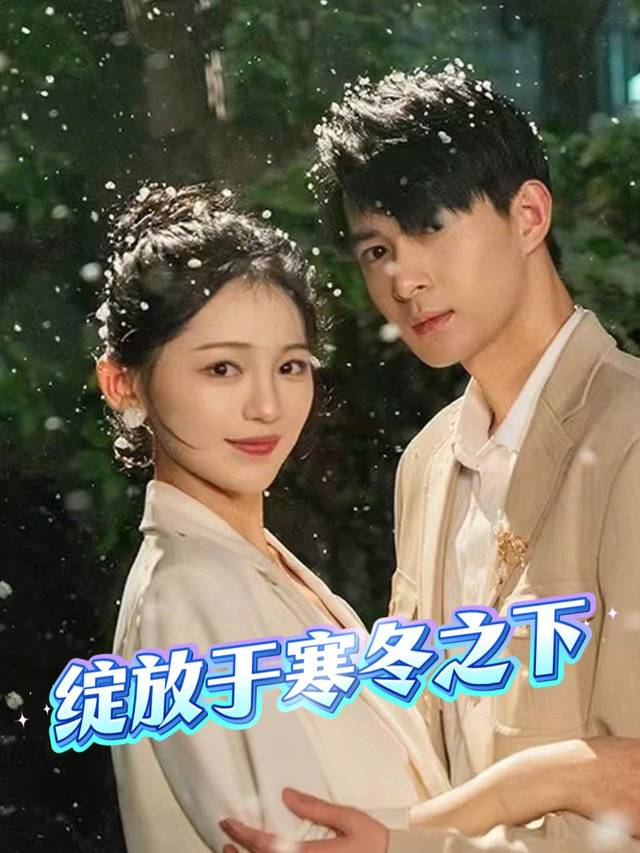 绽放于寒冬之下封面