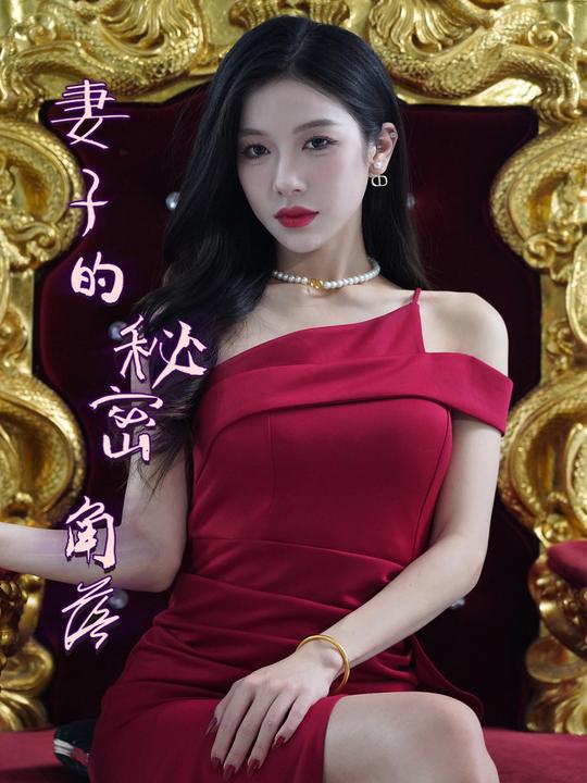 妻子的秘密角落封面