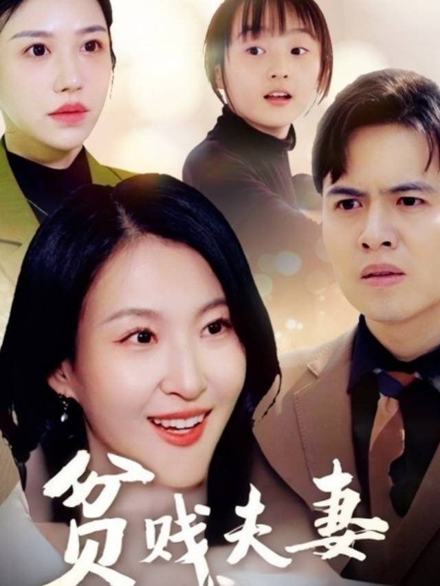 贫贱夫妻百事哀封面