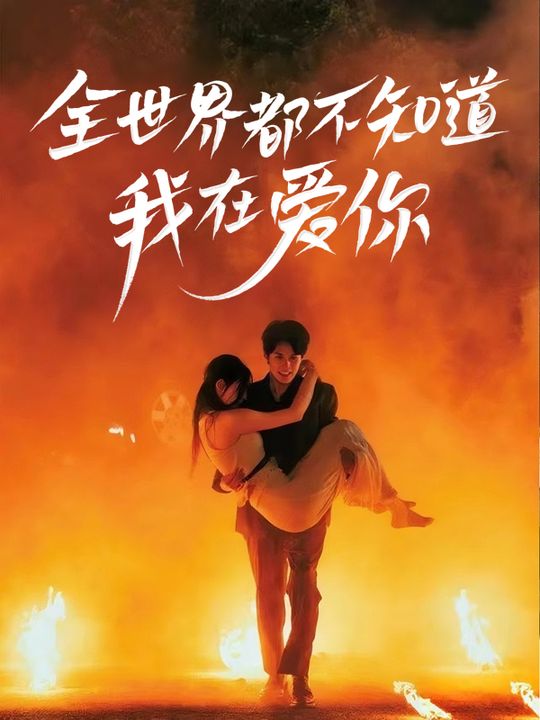 全世界都不知道我在爱你封面