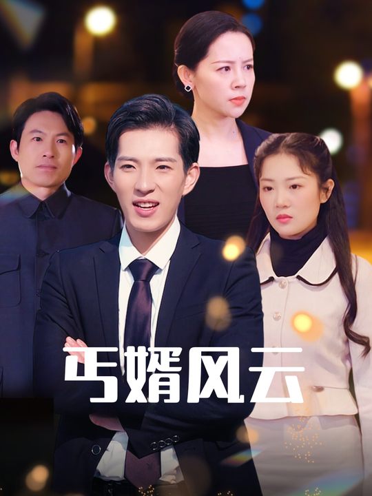丐婿风云封面