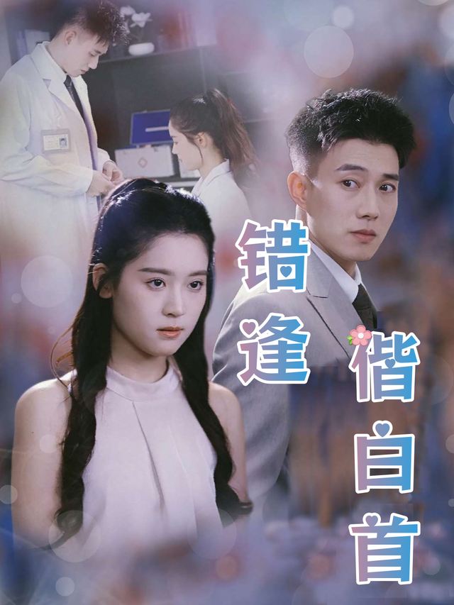 错逢偕白首封面