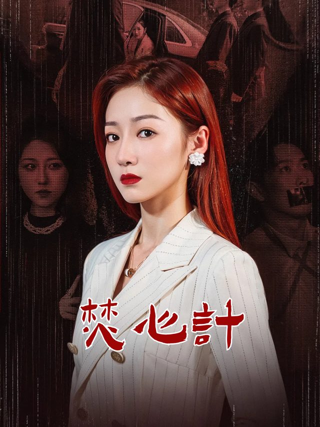 焚心计封面