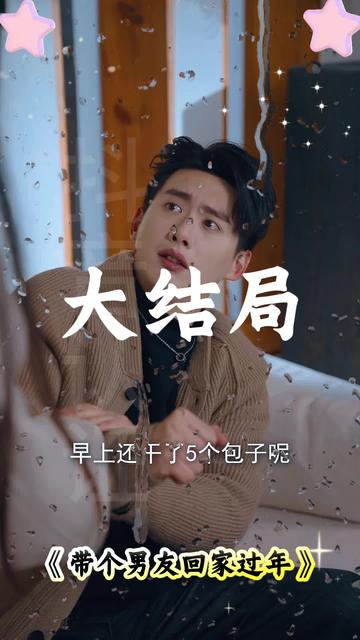 带个男友回家过年封面