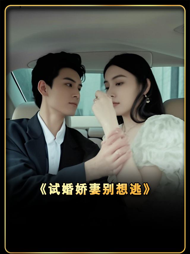 试婚娇妻别想逃封面