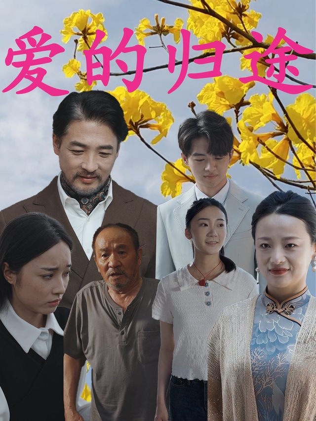爱的归途封面