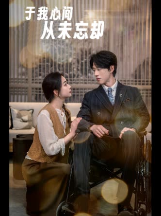 于我心间从未忘却封面
