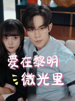 爱在黎明微光里封面
