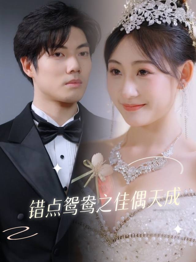错点鸳鸯之佳偶天成封面