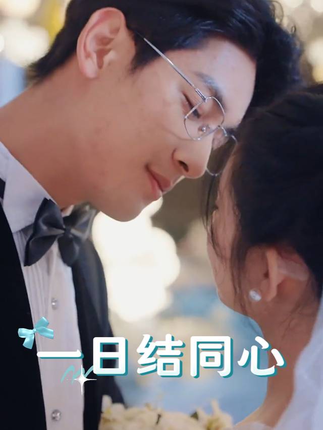 一日结同心封面