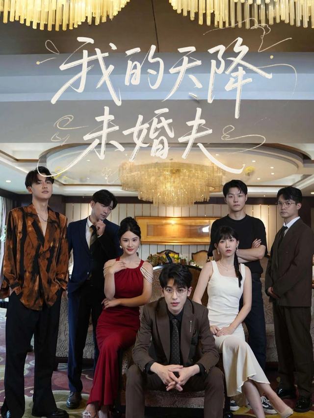 我的天降未婚夫封面