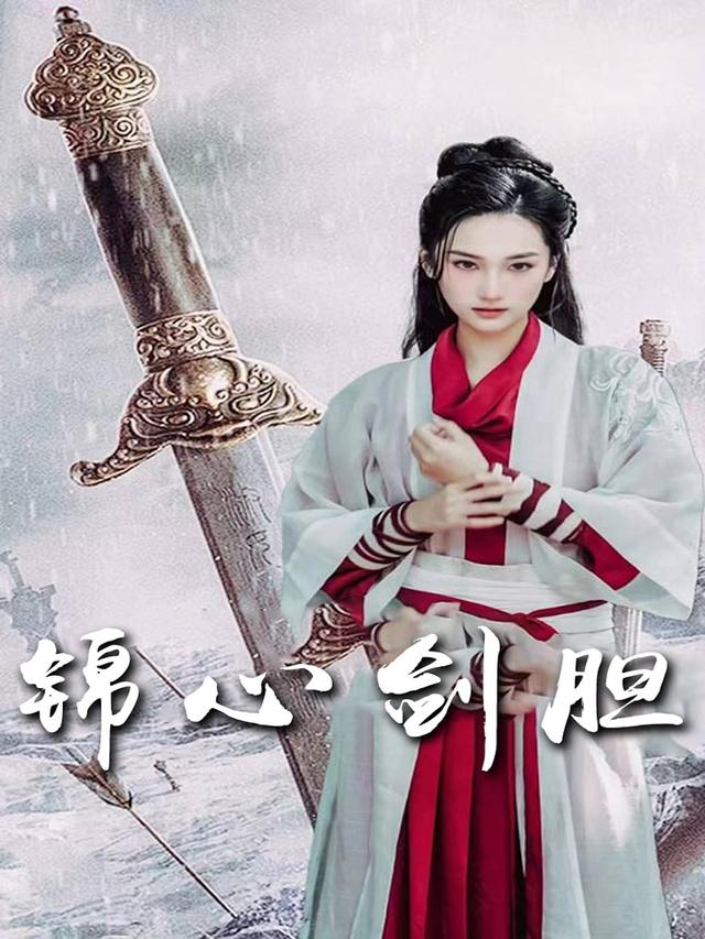 锦心剑胆封面