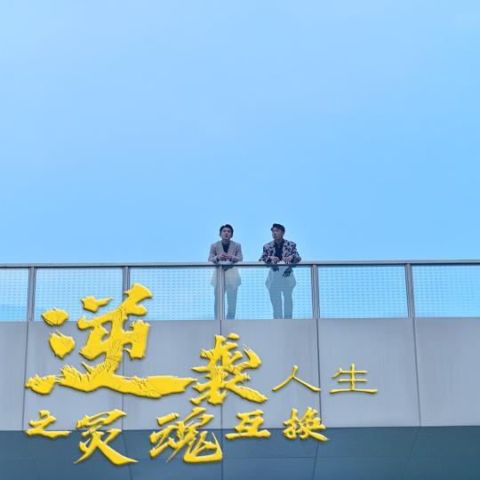 逆行人生之灵魂互换封面