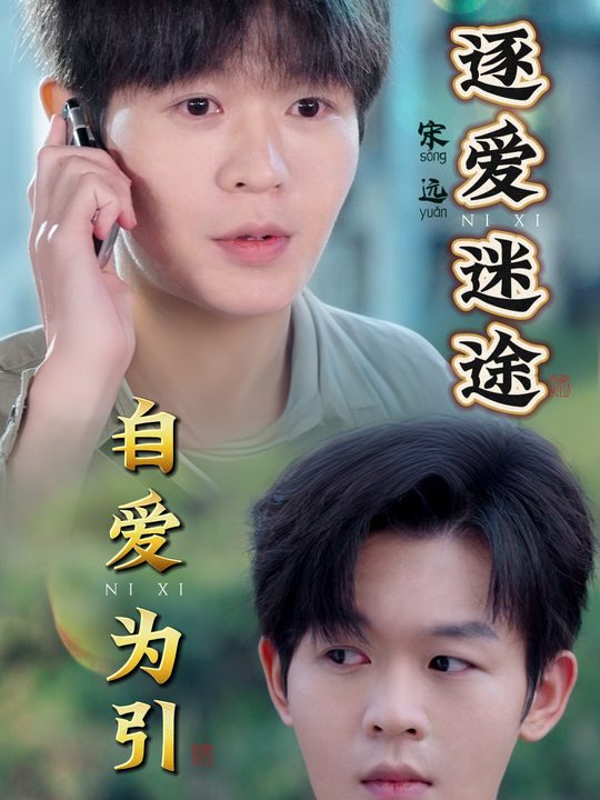 逐爱迷途,自爱为引封面