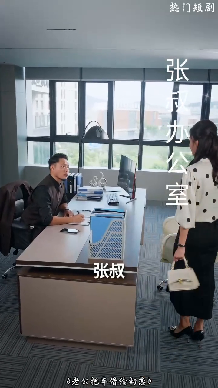 老公把车借给初恋封面