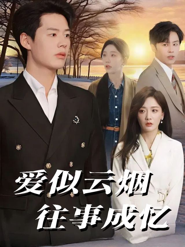 爱似云烟往事成忆封面