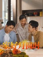 家好月圆时封面