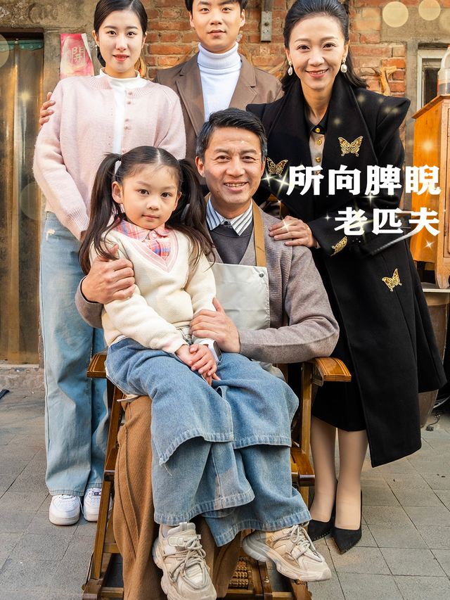 所向睥睨老匹夫封面