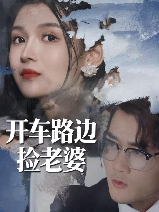 开车路边捡老婆封面