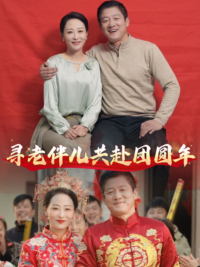 寻老伴儿共赴团圆年封面