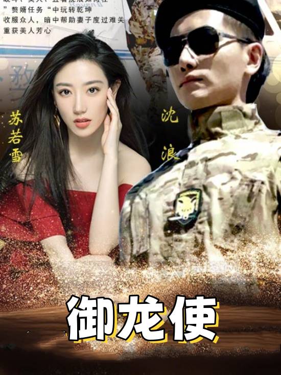 御龙使封面