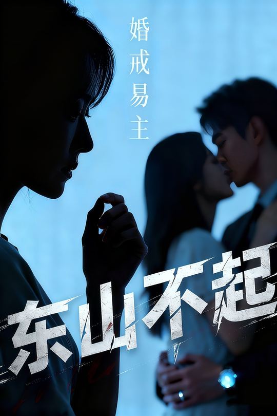 东山不起封面
