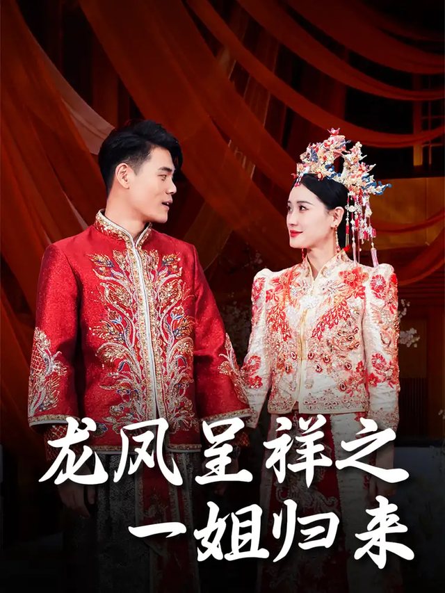 龙凤呈祥之一姐归来封面