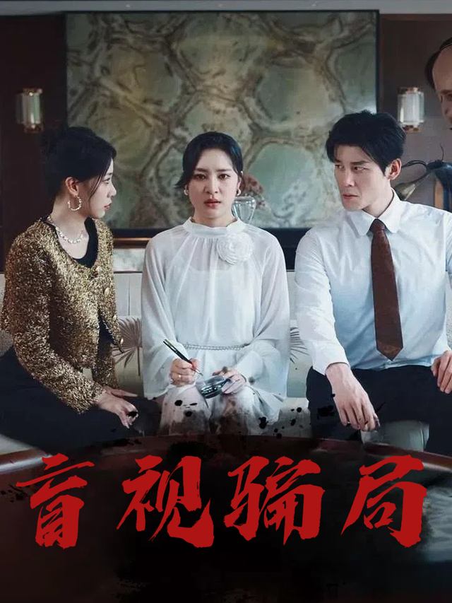 盲视骗局封面