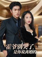 霍爷别哭了,是你说离婚的封面
