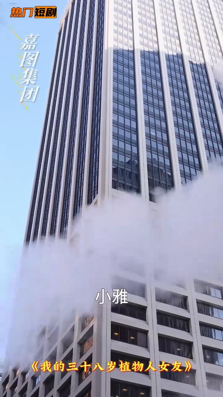 我的三十八岁植物人女友封面
