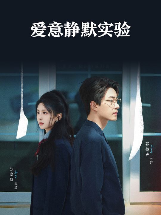 爱意静默实验封面