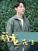 藏龙先生封面