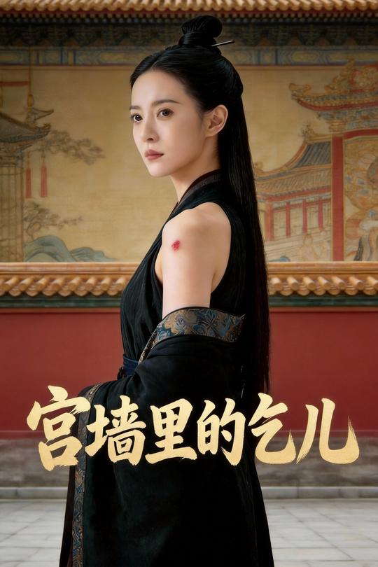 宫墙里的乞儿封面