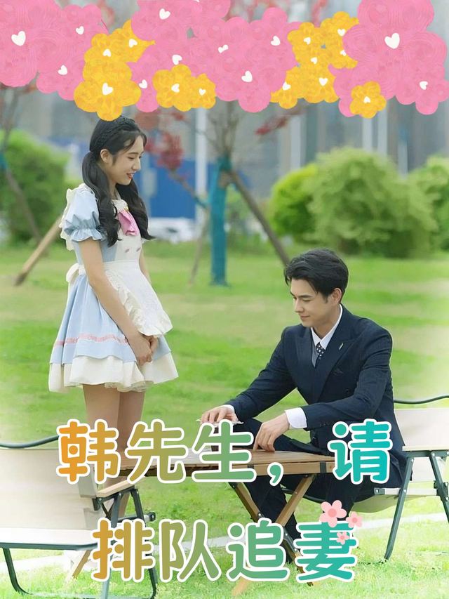 韩先生,请排队追妻封面